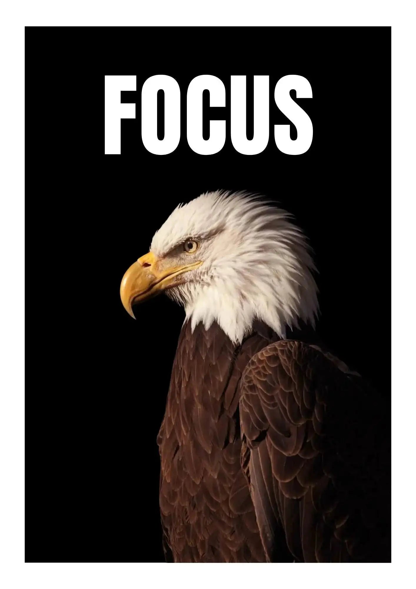 "FOCUS" Bald Eagle Motivational Wall Art