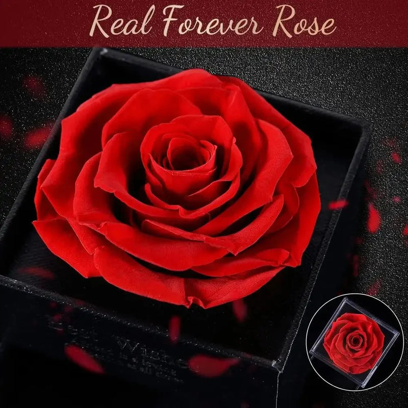 Forever Rose Flower & Premium Necklace Box Set – Timeless Elegance by Jolly Gifts And Arts
