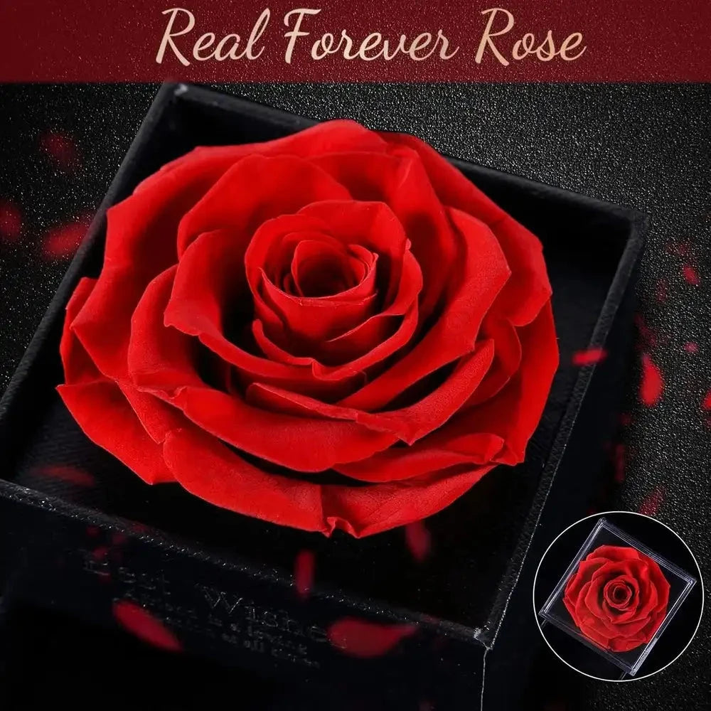 Forever Rose Flower & Premium Necklace Box Set – Timeless Elegance by Jolly Gifts And Arts