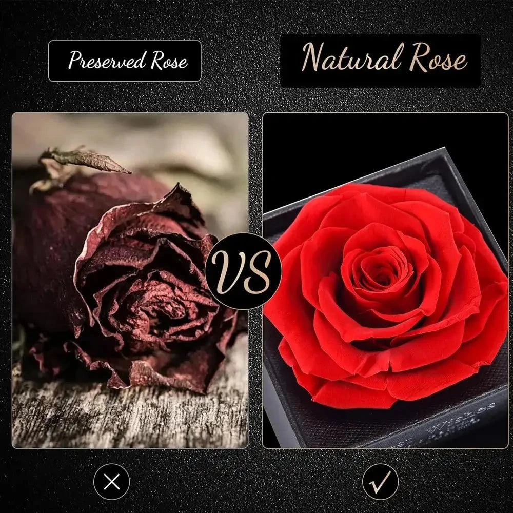 Forever Rose Flower & Premium Necklace Box Set – Timeless Elegance by Jolly Gifts And Arts